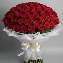 Букет 101 Красная роза Блэк Мэджик #REPLACE_PRED# Скопине