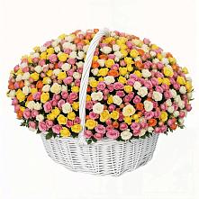 Премиум букет из: Розы в Скопине