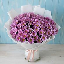 Букет цветов из:  Хризантемы в Скопине