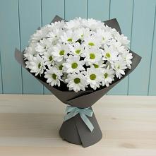 Букет цветов из:  Хризантемы в Скопине