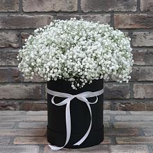 Цветочная композиция из Гипсофила в шляпной коробке в Скопине