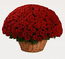 Премиум букет из: Розы в Скопине